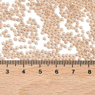 MIYUKI Round Rocailles Beads X-SEED-G007-RR3521-1