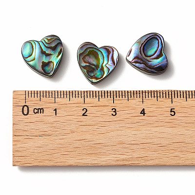 Abalone Shell/Paua Shell Beads SHEL-T005-01-1