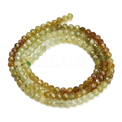 Natural Green Garnet Beads Strands GG-CBA77FB-B11-3mm-1