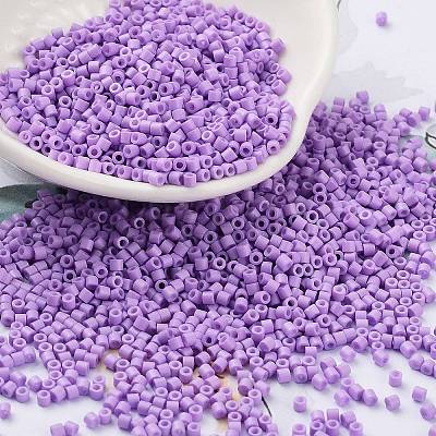 Baking Paint Glass Seed Beads X-SEED-S042-05B-71-1
