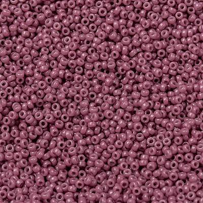 MIYUKI Round Rocailles Beads X-SEED-G009-RR4487-1