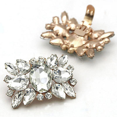 Alloy Glass Detachable Shoe Buckle Clips FIND-WH0423-73RG-01-1