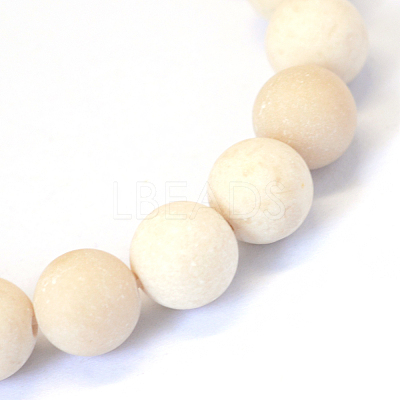 Frosted Natural Fossil Round Bead Strands X-G-E334-6mm-22-1