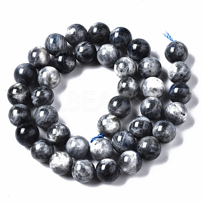Natural Labradorite Beads Strands G-N328-49D-01-1