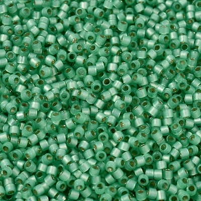 MIYUKI Delica Beads SEED-J020-DB2188-1