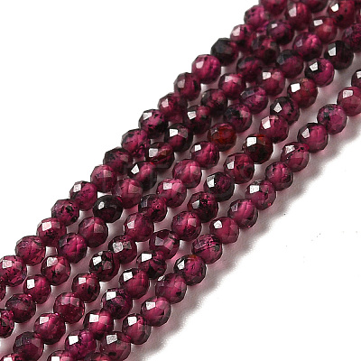 Natural Garnet Beads Strands G-I341-09A-1