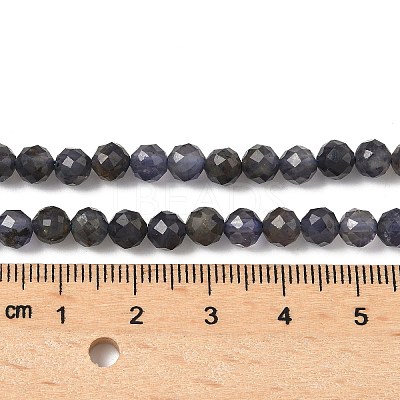 Natural Iolite Beads Strands G-J400-E05-02B-1