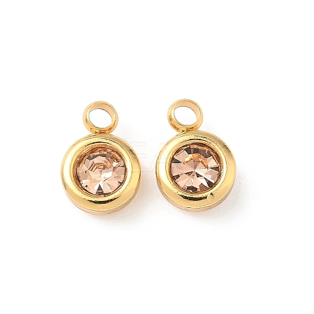 304 Stainless Steel Charms STAS-Z115-01G-06-1