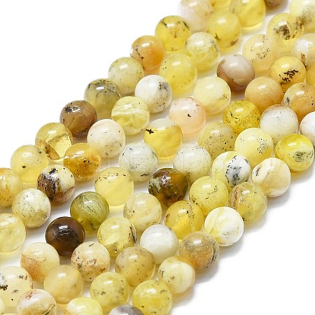 Natural Yellow Opal Beads Strands G-K245-A07-B02-1