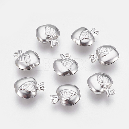 304 Stainless Steel Charms STAS-P208-10P-1