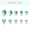 497Pcs 5 Style Rainbow ABS Plastic Imitation Pearl Beads OACR-YW0001-07E-3