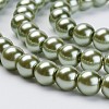 Eco-Friendly Glass Pearl Beads Strands HY-A008-10mm-RB055-3