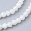 Natural Freshwater Shell Bead Strands SHEL-S249-29-2
