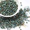 Glass Seed Beads X1-SEED-H002-B-D222-1