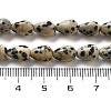 Natural Dalmatian Jasper Beads Strands G-B106-A29-01-5