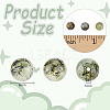 2 Strands Natural Prehnite Beads Strands G-OC0004-73-2