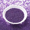 MIYUKI Round Rocailles Beads SEED-X0054-RR0352-2