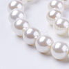 Shell Pearl Beads Strands BSHE-L035-6mm-I13-1