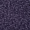 TOHO Round Seed Beads X-SEED-TR11-0019F-2