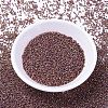 MIYUKI Delica Beads X-SEED-J020-DB1013-2