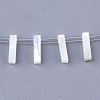 Natural Sea Shell Beads SHEL-T012-60I-1