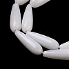 Natural Freshwater Shell Beads Strands SHEL-A004-03-4
