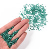 12/0 Grade A Round Glass Seed Beads SEED-Q007-F50-4