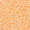 FGB Glass Seed Beads SEED-Q040-08A-06-3