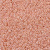 MIYUKI Round Rocailles Beads X-SEED-G007-RR0543-3