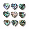 Abalone Shell/Paua Shell Beads LS-SHEL-T005-01-2