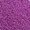 Baking Paint Glass Seed Beads SEED-S001-K21-3
