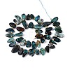 Natural Chrysocolla Beads Strands G-Z091-A46-2