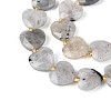 Natural Labradorite Beads Strands LS-G-P592-B14-01-4