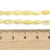 Natural Freshwater Shell Beads Strands SHEL-C010-01B-4