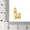 Rack Plating Brass Charms KK-C053-04G-M-3