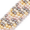 Shell Pearl Bead Strands BSHE-L017-17-3