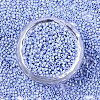 FGB 11/0 Grade A Glass Seed Beads SEED-S030-1023-3