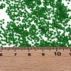 15/0 Transparent Czech Glass Seed Beads SEED-N004-004-23-6