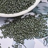 MIYUKI Delica Beads SEED-X0054-DB1566-1