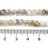 Natural Botswana Agate Beads Strands G-H042-A07-02-5