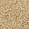 MIYUKI Delica Beads SEED-JP0008-DB0621-3