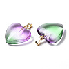 Two Tone Spray Painted Glass Pendants X-GLAA-N035-016-C01-3