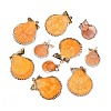 Electroplate Natural Scallop Shell Pendants SSHEL-Q100-20KCG-1
