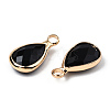 K9 Glass Charms GLAA-N038-21-6