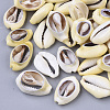 Natural Cowrie Shell Beads SSHEL-N034-28-1