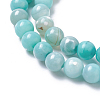 Natural Dyed Agate Imitation Turquoise Beads Strands G-P425-02A-6mm-3