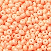 Baking Paint Glass Seed Beads SEED-B001-02A-16-3