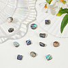 12pcs 3 styles Natural Abalone Shell/Paua Shell Beads Strands SHEL-WR0001-03-4