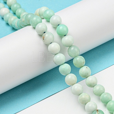 Grade A Natural Chrysoprase Beads Strands G-R494-A02-02-1
