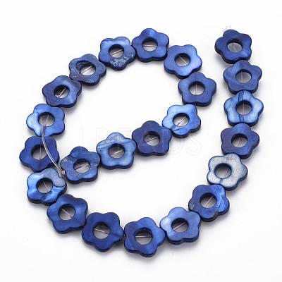 Freshwater Shell Beads Frames Strands SHEL-T009-14D-1